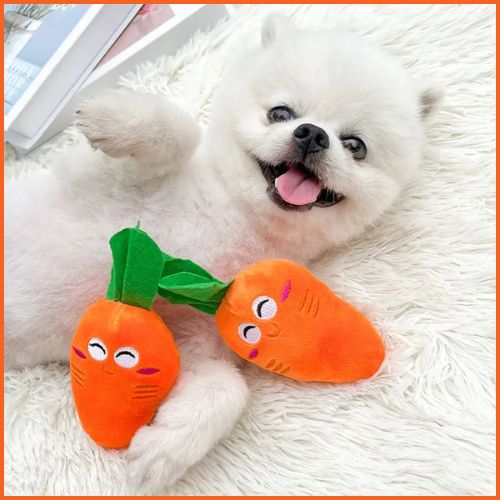 Jouet-chien_grissant-spécial-chiot-et-petit-chien-orange