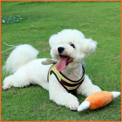 Jouet-chien_grissant-spécial-chiot-et-petit-chien-poulet