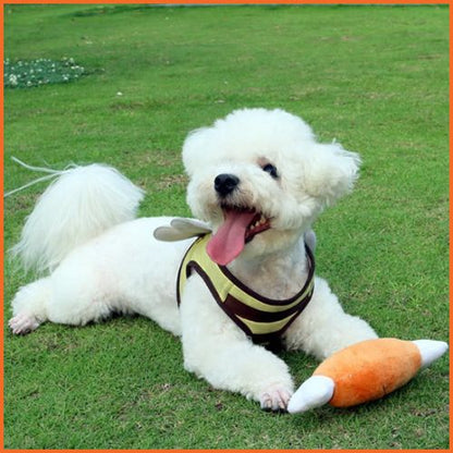 Jouet-chien_grissant-spécial-chiot-et-petit-chien-poulet