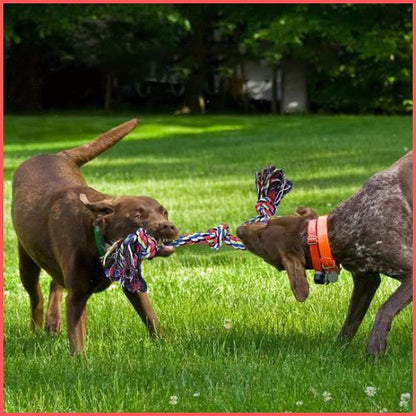 jouet-chien-indestructible_ en-corde-résistante-duo