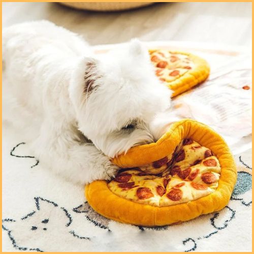 jouet-chien_en-forme-de-pizza-sonore-sauce