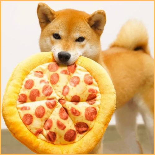 jouet-chien_fromage