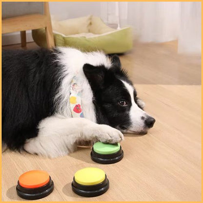 Jouet-interactif-pour-chien_bouton-de-communication-vert