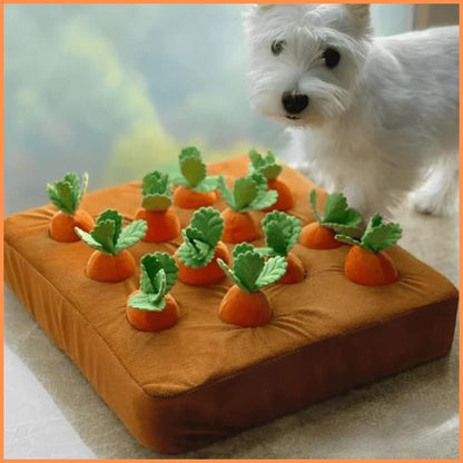 jouet-interactif-pour-chien-blanc