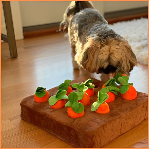 jouet-interactif-pour-chien-tapis-de-fouille-orange