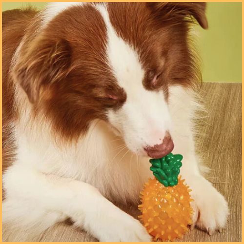 jouet-pour-chien-à-mâcher-rafraîchissant-ananas
