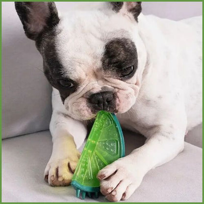 jouet-pour-chien-à-mâcher-rafraîchissant-citron