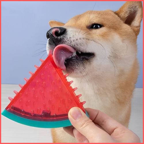 jouet-pour-chien-à-mâcher-rafraîchissant-fruit