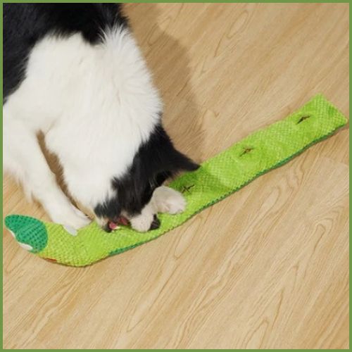 Jouet-pour-chien-à-renifler-cachette-friandise-vert