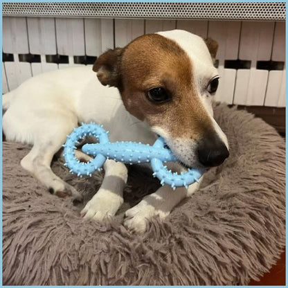 Jouet-pour-chien_anneau à mâcher hygiène dentaire-jack