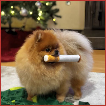 jouet-pour-chien_en-paquet-de-cigarette-avec-couinement-amusant