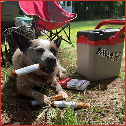 jouet-pour-chien_en-paquet-de-cigarette-avec-couinement-parc