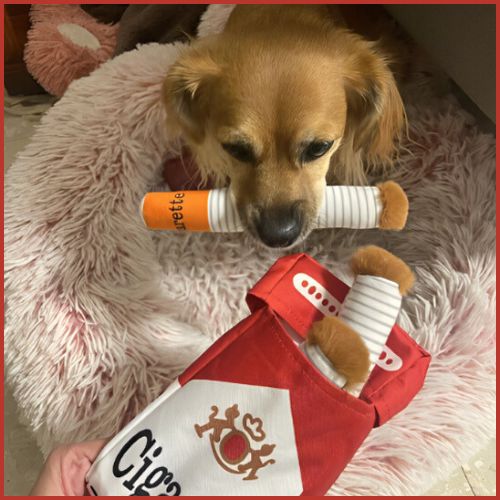 jouet-pour-chien_en-paquet-de-cigarette-avec-couinement-rouge