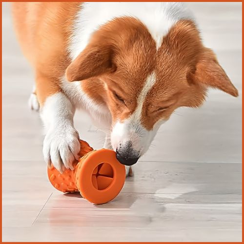 jouet-pour-chien-indestructible_à-mâcher-friandise