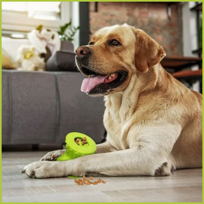 jouet-pour-chien-indestructible_à-mâcher-labrador