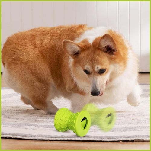 jouet-pour-chien-indestructible_à-mâcher-vert