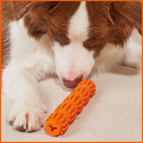 jouet_pour-chien-indestructible_ friandise-et-hygiène-dentaire-orange
