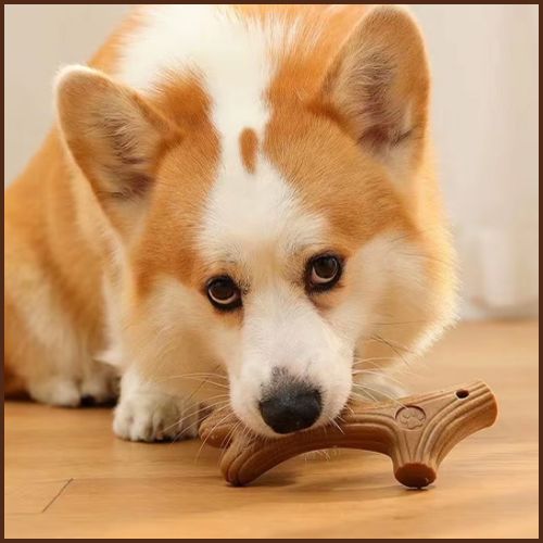 jouet-pour-chien-indestructible_bâton-naturel-à-mâcher-branche