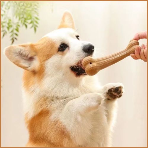jouet-pour-chien-indestructible_bâton-naturel-à-mâcher-os