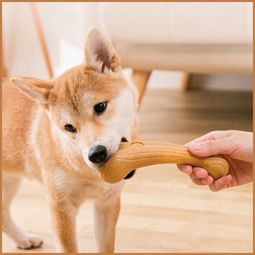 jouet-pour-chien-indestructible_bâton-naturel-à-mâcher-shiba-inu
