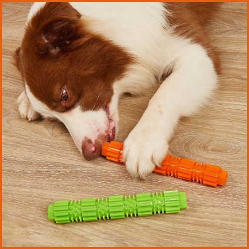 jouet-pour-chien-indestructible_friandise-et-hygiène-dentaire-duo