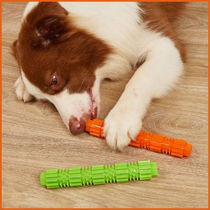 jouet-pour-chien-indestructible_friandise-et-hygiène-dentaire-duo