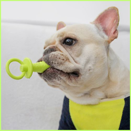 jouet-pour-chien-indestructible_spécial-dentition-silicone