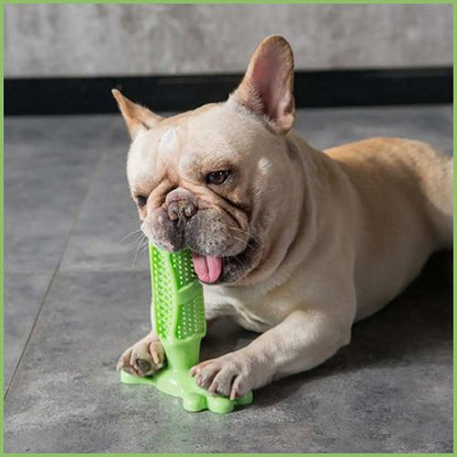 jouet-pour-chiens_hygiène-dentaire