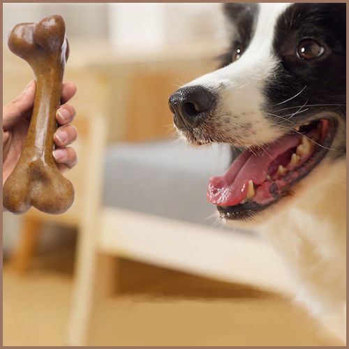 Jouet-pour-chiens_hygiene