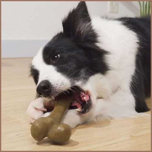 Jouet-pour-chiens-os-marron