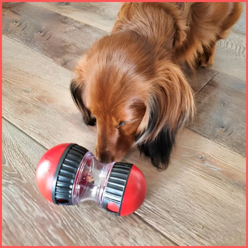 Jouets-pour-chiens_distributeurs-de-friandises-rouge