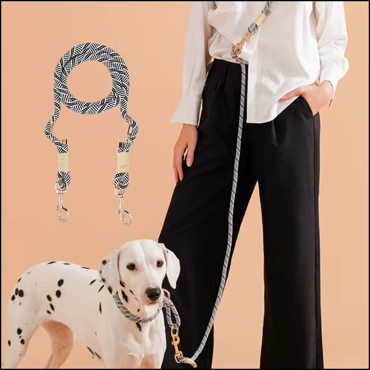 laisse-chien-main-libre-élégante-et-résistante-noir