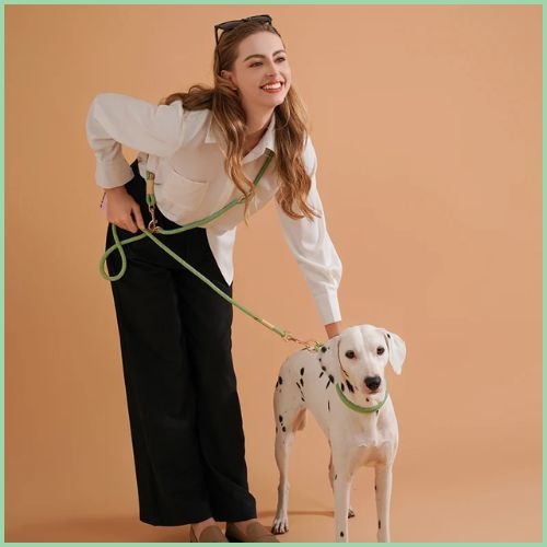 laisse-chien-main-libre-élégante-et-résistante-dalmatien 