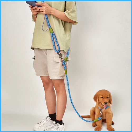 laisse-chien-main-libre-en-corde-résistante-bleu