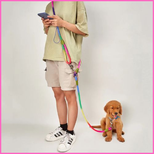 laisse-chien-main-libre-en-corde-résistante-color