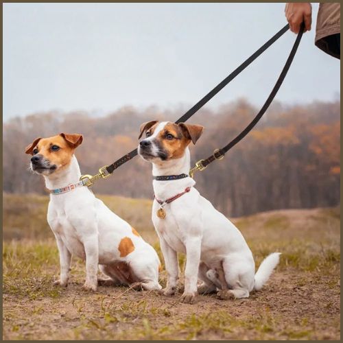 laisse-chien-main-libre_en-cuir-véritable-duo
