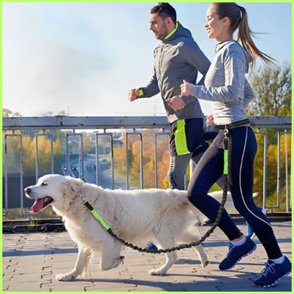 laisse-chien-main-libre