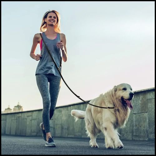 laisse-chien-main-libre_en-cuir-véritable-course