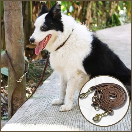 laisse-chien-main-libre_en-cuir-véritable-marron