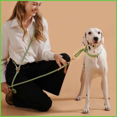laisse-chien-main-libre_vert