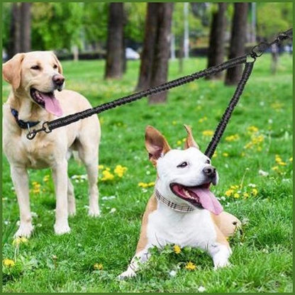 laisse-double-pour-chien-anti-traction-ultra-résistante-pitbull-labrador