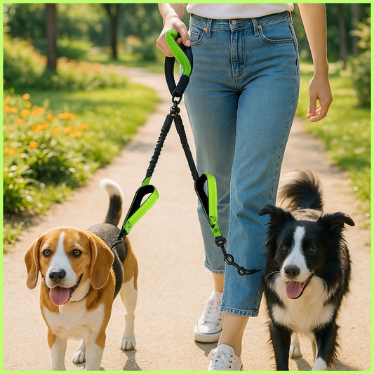 laisse-double-pour-chien-avec-poignée-rembourrée