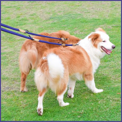 laisse-double_pour-chien_main-libre-bleu