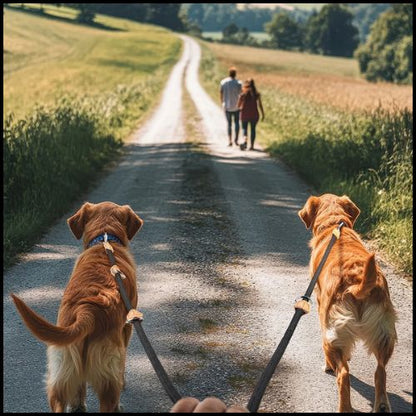 laisse-double_pour-chien_main-libre-noir