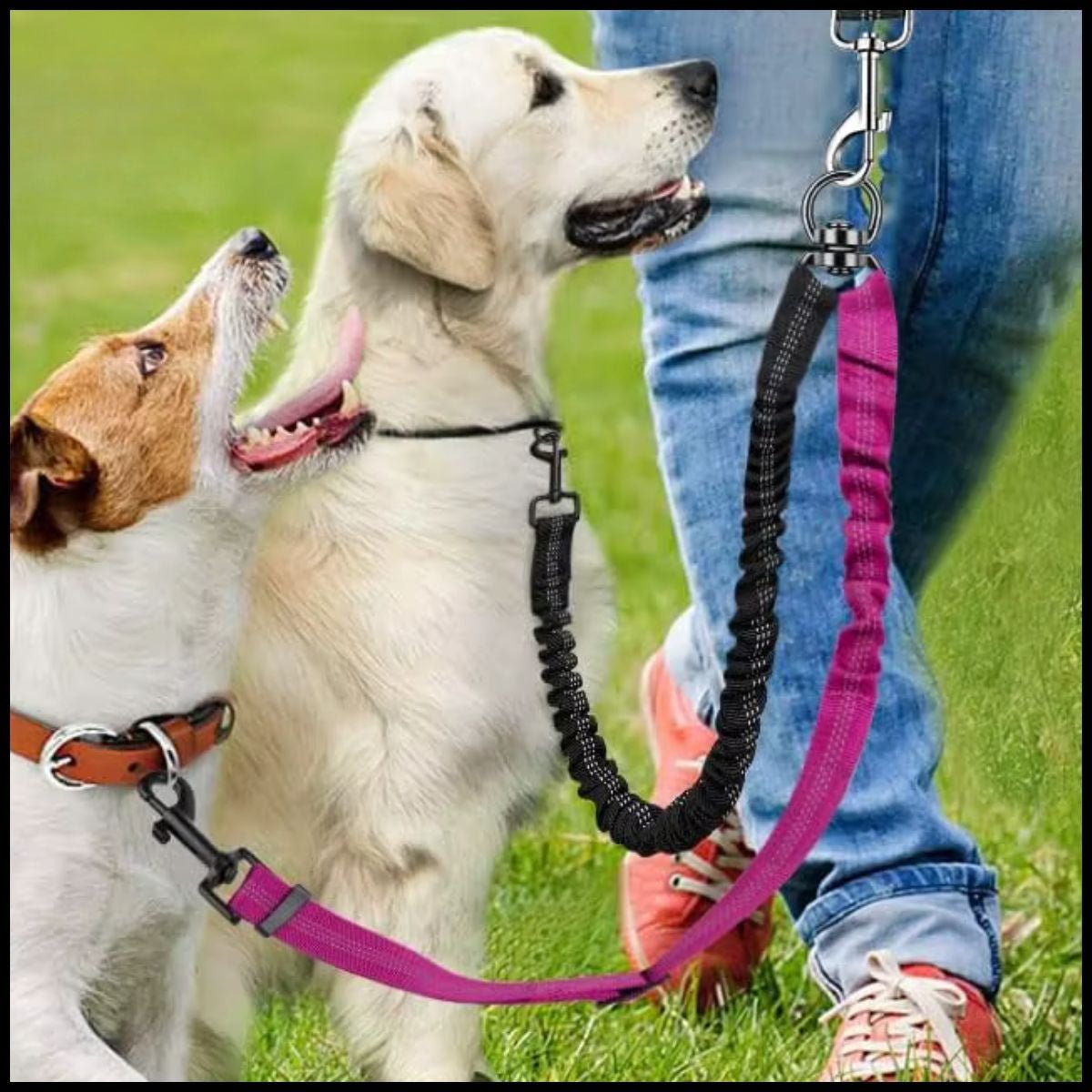 laisse_double-pour-chien-petit-et-moyen-rose