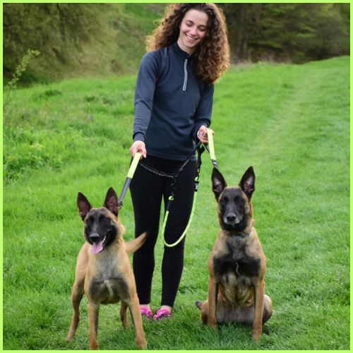 laisse-double-pour-chien-vert