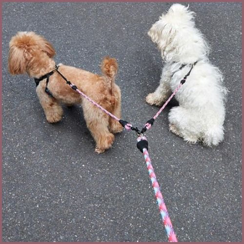 laisse-double-pour_chien_zéro-enchevêtrement-rose