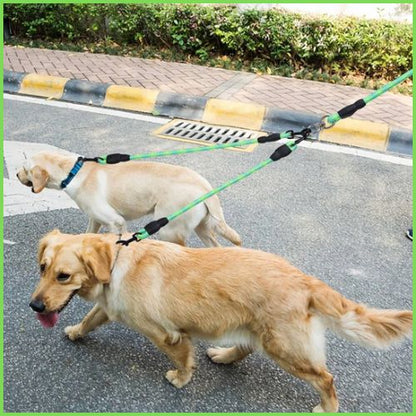 Laisse double pour chien zéro enchevêtrement |Max & Bella