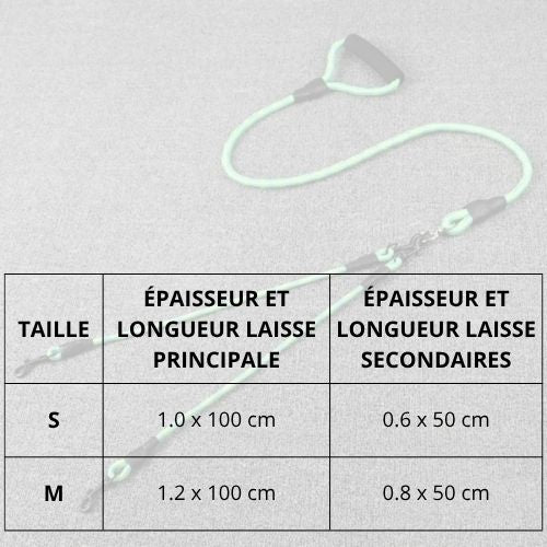 laisse-double-pour-chien_zéro-enchevêtrement-tailles