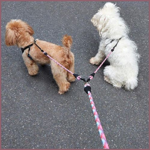laisse-double-pour_chien_rose